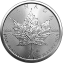 Koop de platina Maple Leaf 1 oz 2023 bij Goudwisselkantoor